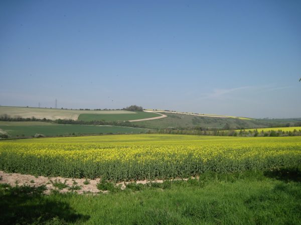 Near Chalton